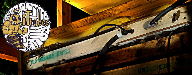 iTRUBEC ve včelím úlu